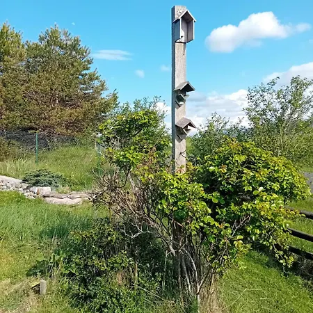 Avec Jardin Et Vue 6 Personnes Espezel